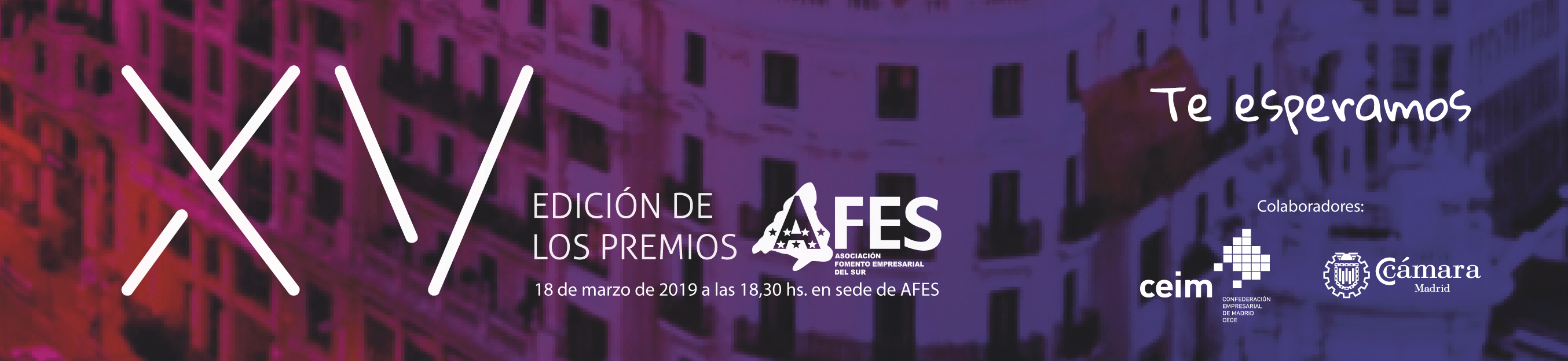Premios AFES